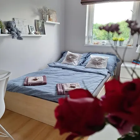 W Apartamencie Z Pieknym Widokiem Na Morze Apartmán *