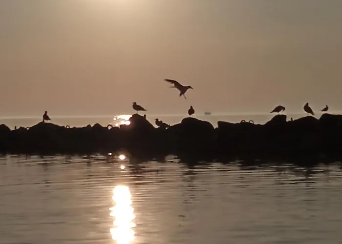 Apartmán W Apartamencie Z Pieknym Widokiem Na Morze