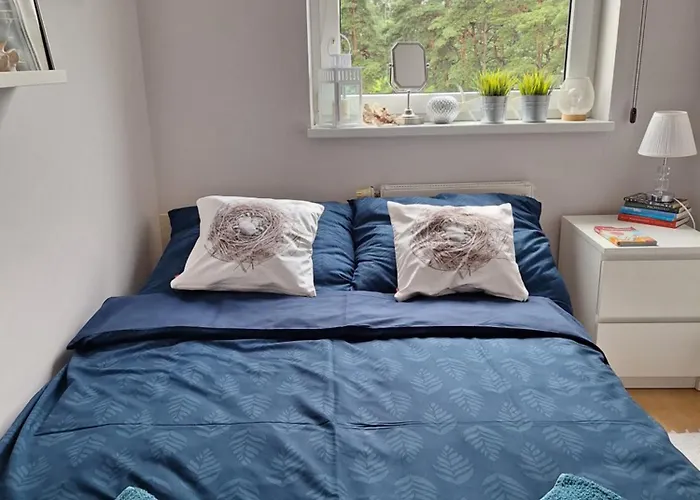 Apartmán W Apartamencie Z Pieknym Widokiem Na Morze Gdyně